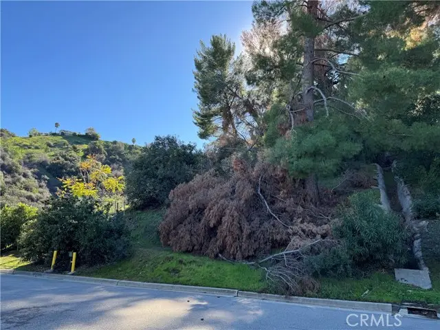 3 ambar Drive, Woodland Hills, CA 91364 - Image #3