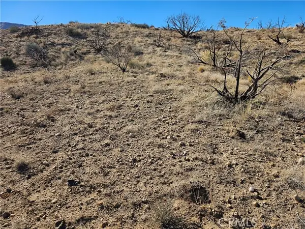 6 128th, Littlerock, CA 93543