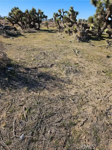 0 DIVISION ST, Palmdale, CA 93550