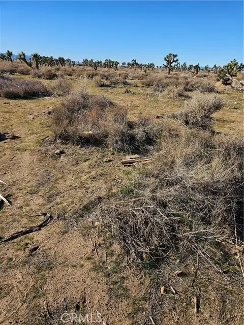 0 DIVISION ST, Palmdale, CA 93550 - #2