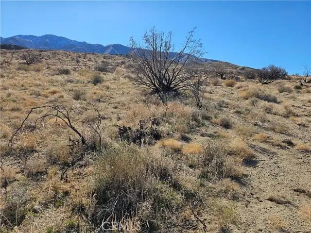 126 Avenue Y4, Littlerock, CA 93543 - #3