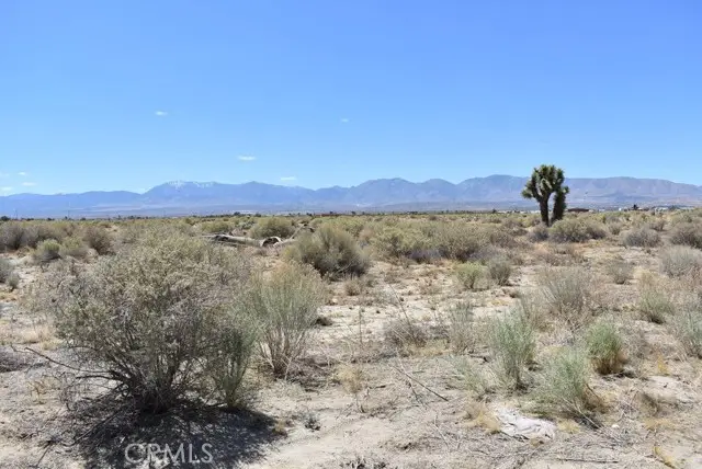 14500 Ave R, Littlerock, CA 93543 - #3