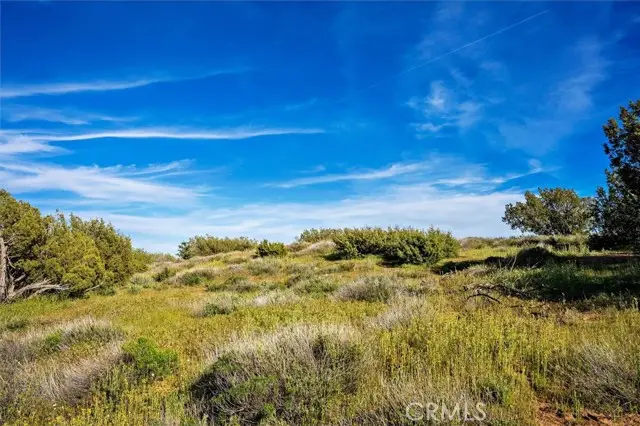 48725 Shallow Springs Road, Palmdale, CA 93551 - Image #2