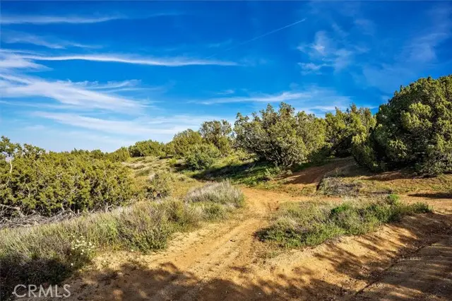 48725 Shallow Springs Road, Palmdale, CA 93551 - Image #3