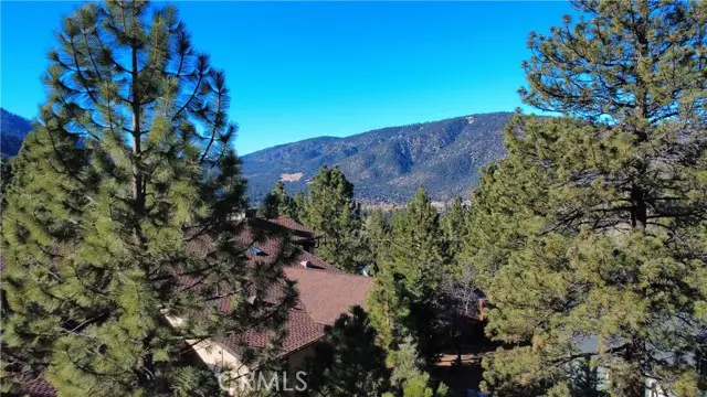 15113 Chestnut Drive, Pine Mountain Club, CA 93222 - #2