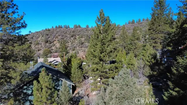 15113 Chestnut Drive, Pine Mountain Club, CA 93222 - #3