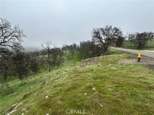 9784 Torito, La Grange, CA 95329 - #3