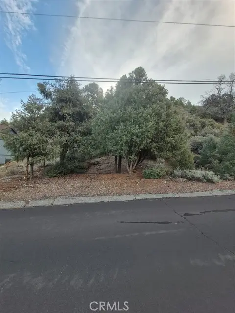 2024 WOODLAND DRIVE, Pine Mountain Club, CA 93222 - #1