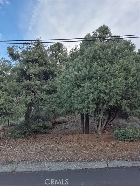 2024 WOODLAND DRIVE, Pine Mountain Club, CA 93222 - #2