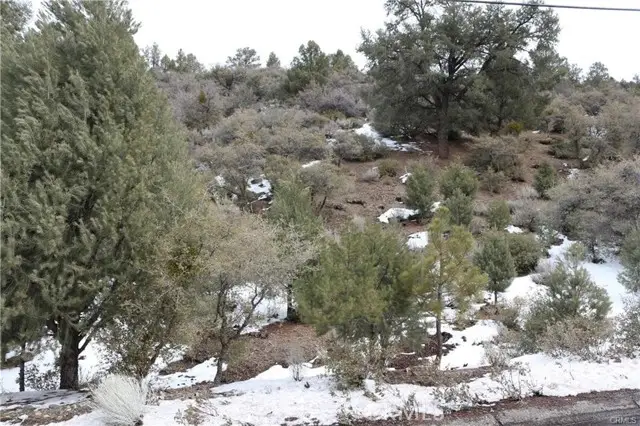 2024 WOODLAND DRIVE, Pine Mountain Club, CA 93222 - #3