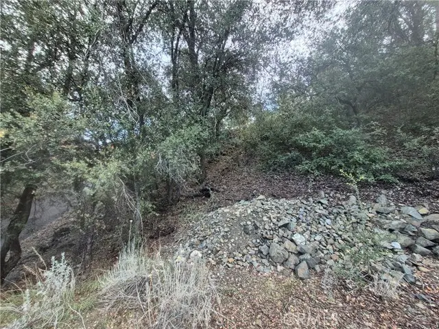 15532 San Moritz, Pine Mountain Club, CA 93222 - #3