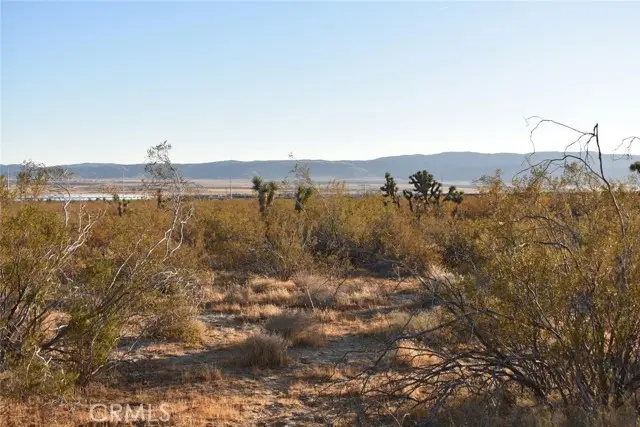 19300 Astoria Avenue, Rosamond, CA 93560 - #2