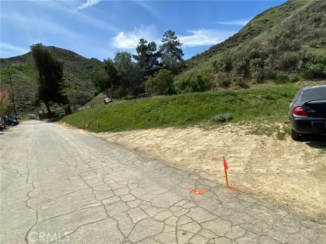 28909 Paradise Road, Castaic, CA 91384 - #1