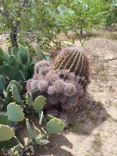 10376 55th Street, Mojave, CA 93501 - #3