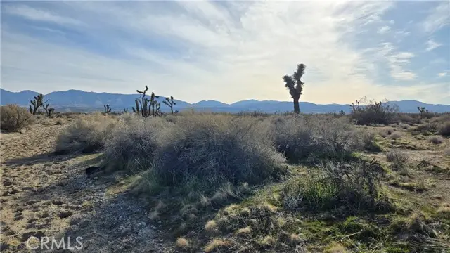 0 115th St East s/o Ave S, Littlerock, CA 93543 - Image #1