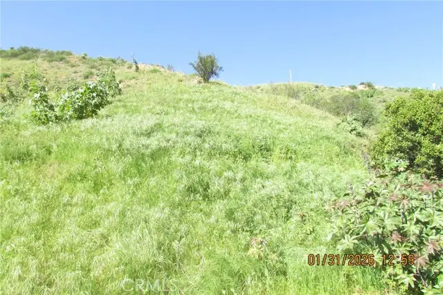 8001 Denivelle Rd., Sunland, CA 91040 - Image #3