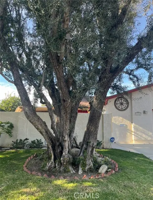 23509 Via Chantilly, Valencia, CA 91355 - #3