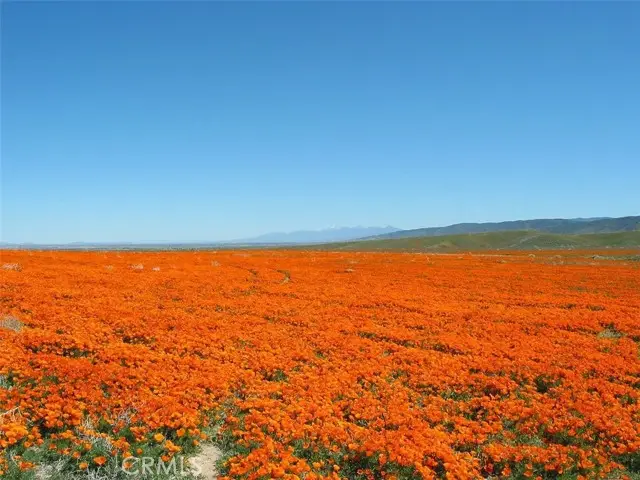 0 Corner W Ave G2/137th St W, Lancaster, CA 93536 - #2