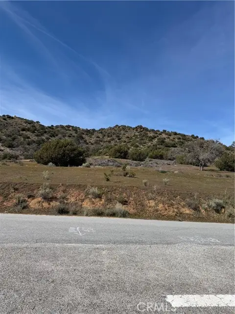 0 sand Canyon, Caliente, CA 93518 - #3
