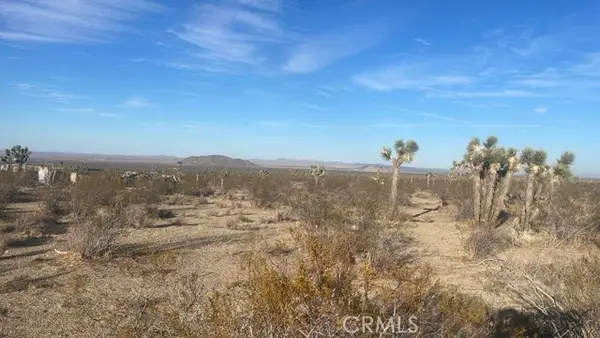 0 Vac/Vic Avenue W4/207 Ste, Palmdale, CA 93591