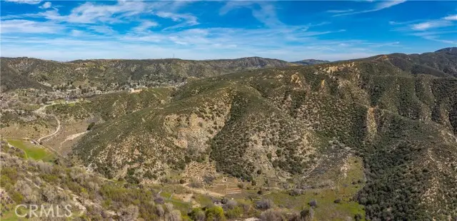 43460 Newview Drive, Lake Hughes, CA 93532 - #3