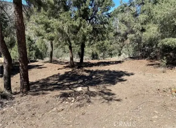 2217 Saint Bernard Drive, PINE MOUNTAIN CLUB, CA 93222