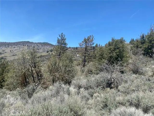 25301 Paramount, Tehachapi, CA 93561 - #2