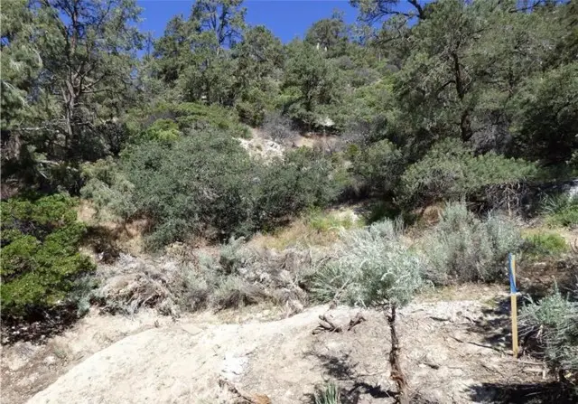 0 Escolon Trl, Frazier Park, CA 93225 - #2