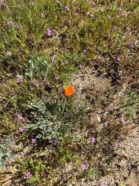 0 Lebec Road, Lebec, CA 93243 - #2