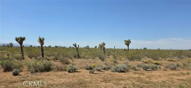 0 173rd E W-12, Llano, CA 93544 - #1