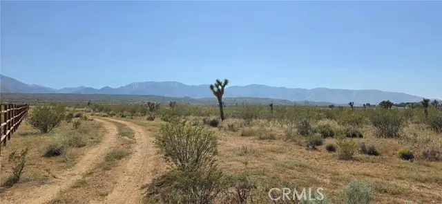 0 173rd E W-12, Llano, CA 93544 - #3