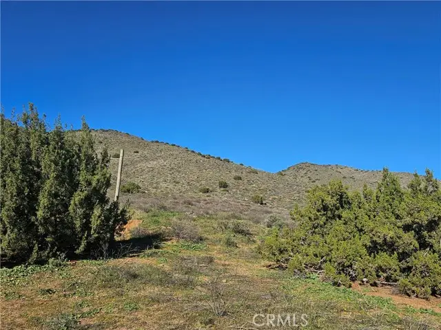 0 Escondido Canyon, Agua Dulce, CA 91350 - #3