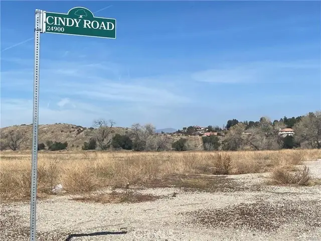 24925 Cindy Road, Newhall, CA 91321 - #1