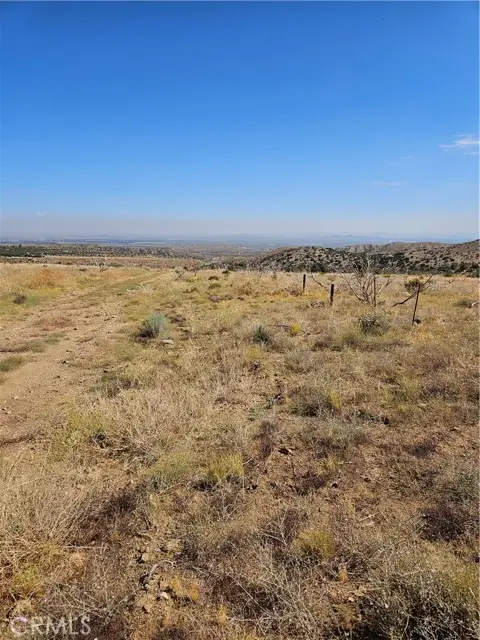 116 Street East, Juniper Hills, CA 93543 - #2