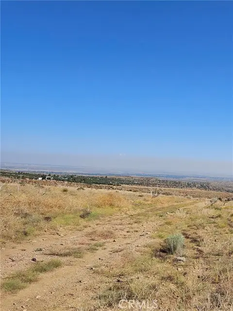 116 Street East, Juniper Hills, CA 93543 - #3