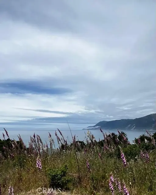 53 Redcrest Court, Whitethorn, CA 95589 - #3