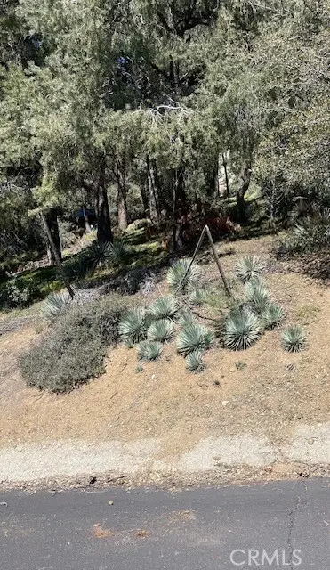 2165 Tyndall, Pine Mountain Club, CA 93222 - #3