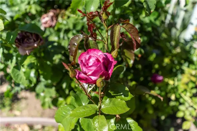 7608 Penobscot Drive, West Hills, CA 91304 - #2