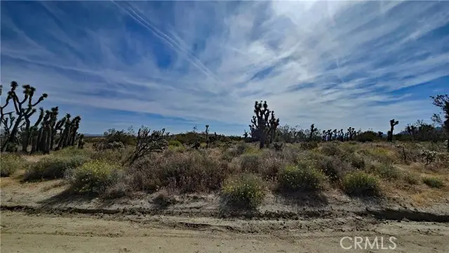 0 103rd St East vicinity W14, Littlerock, CA 93543 - #3