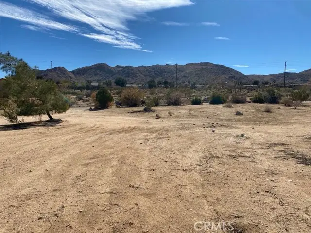 60450 Alta Mesa Drive, Joshua Tree, CA 92252 - #1
