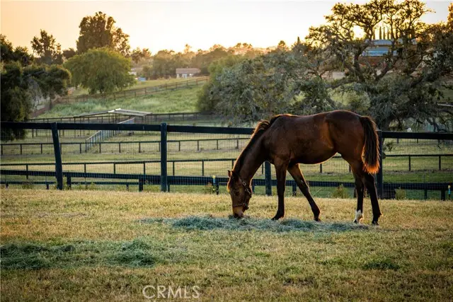 1977 San Marcos Pass Road, Santa Ynez, CA 93460 - #1