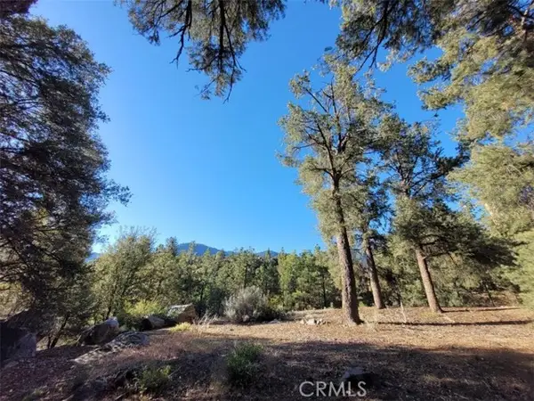 15913 Wildwood Drive, PINE MOUNTAIN CLUB, CA 93222
