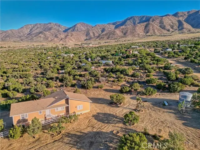 29422 125th, Pearblossom, CA 93553 - #1