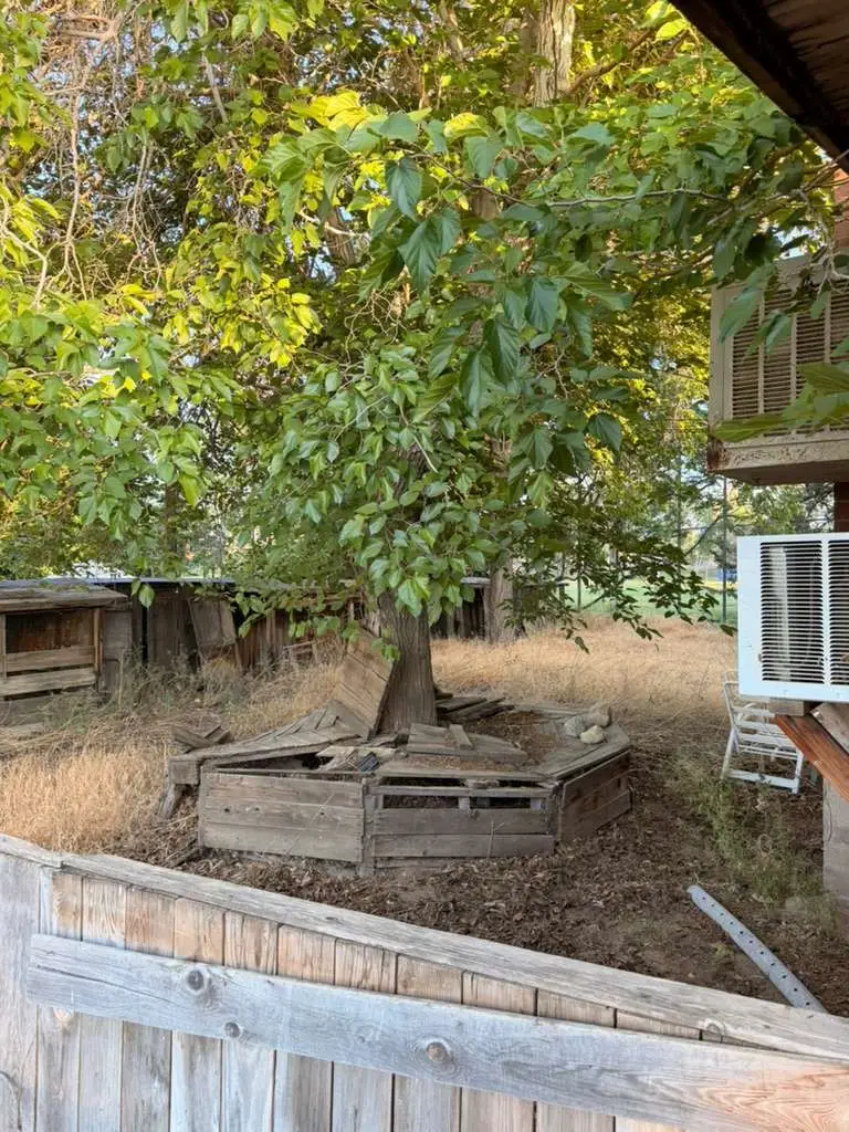 12156 Avenue V12, Pearblossom, CA 93553 - #2