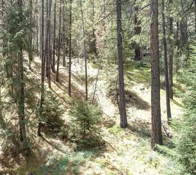 1316 Zermatt Court, Pine Mountain Club, CA 93222 - #1