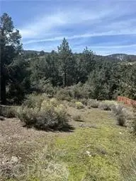 2029 Zermatt Drive, PINE MOUNTAIN CLUB, CA 93222