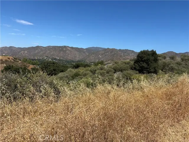 0 Pineview, Canyon Country, CA 91387 - #3