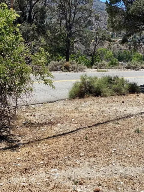 0 Mt. Pinos Way, Lebec, CA 93243 - #3