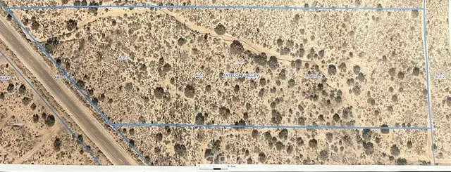 0 Vac/Fort Tejon Pav /Vic Avenue, Pearblossom, CA 93553 - #3