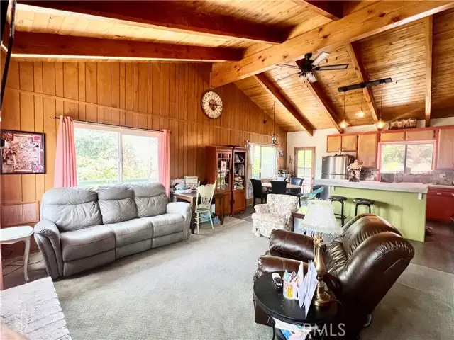 1005 Condor Court, Frazier Park, CA 93225 - #2